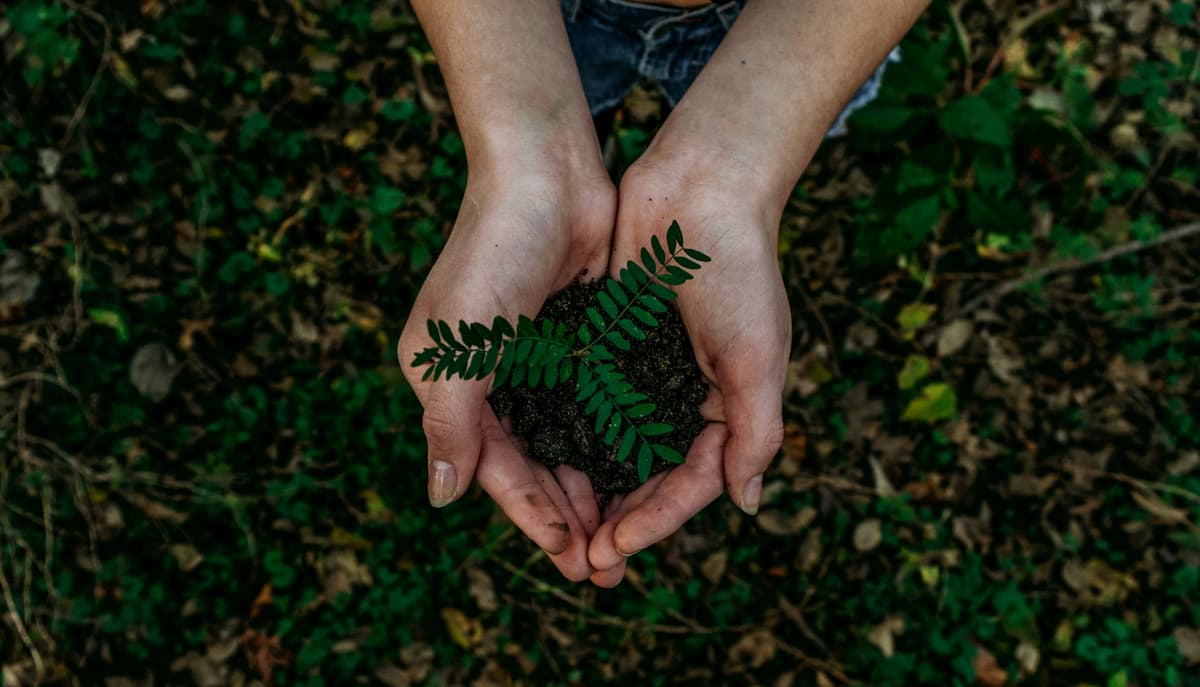ISO 14001 environmental management certification